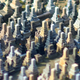 Illustration for article titled The Future of Graveyards